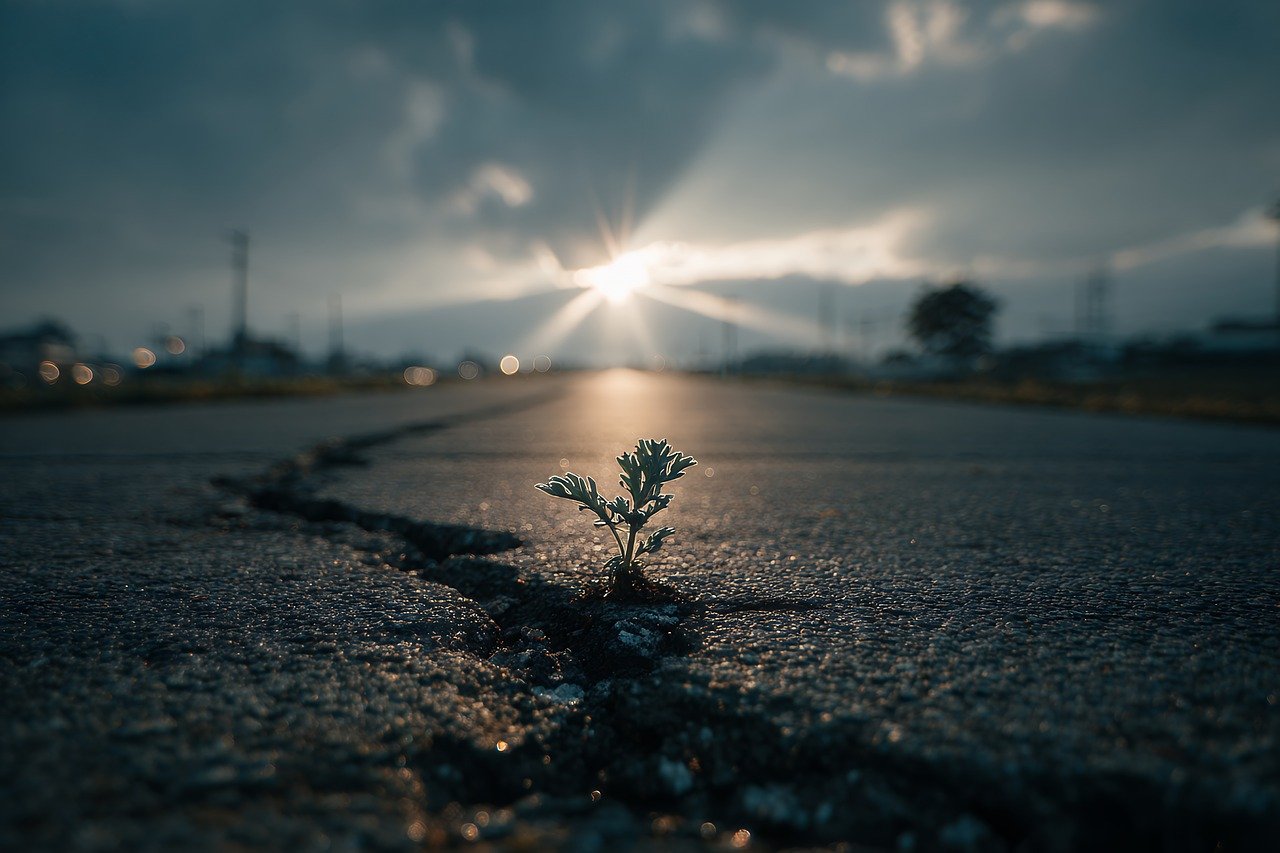 Additional Illustration of What is an Asphalt Mixing Plant? A Complete Guide